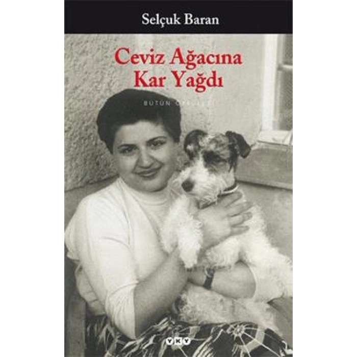 Ceviz Ağacına Kar Yağdı