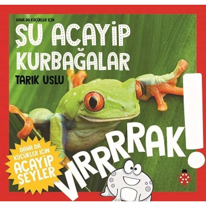 Daha Da Küçükler İçin - Şu Acayip Kurbağalar