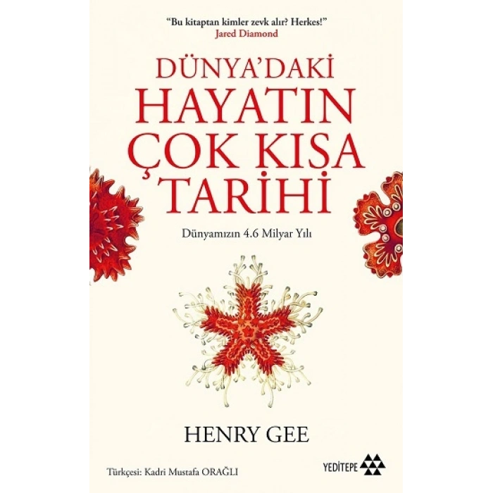 Dünyadaki Hayatın Çok Kısa Tarihi