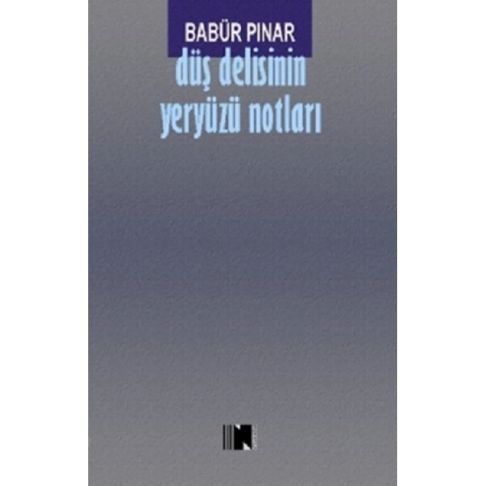 Düş Delisinin Yeryüzü Notları