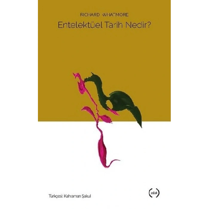 Entelektüel Tarih Nedir?