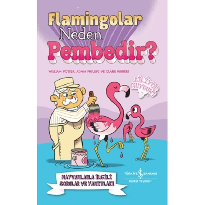 Flamingolar Neden Pembedir? Hayvanlarla İlgili Sorular Ve Yanıtları
