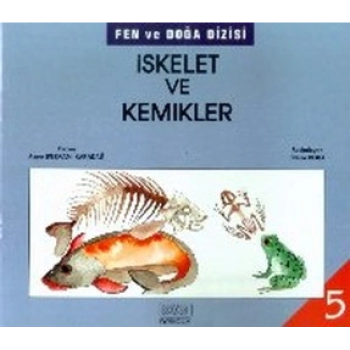 İskelet Ve Kemikler