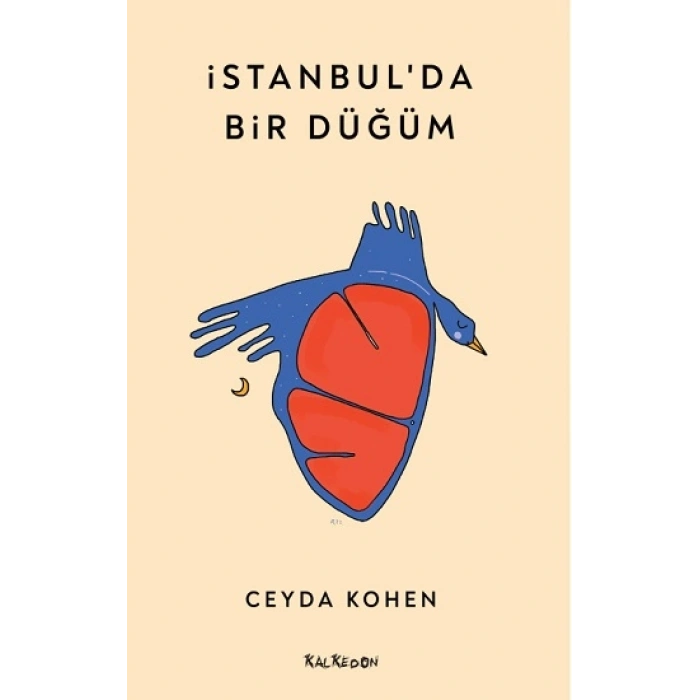 İstanbul’da Bir Düğüm