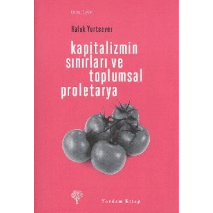 Kapitalizmin Sınırları Ve Toplumsal Proletarya