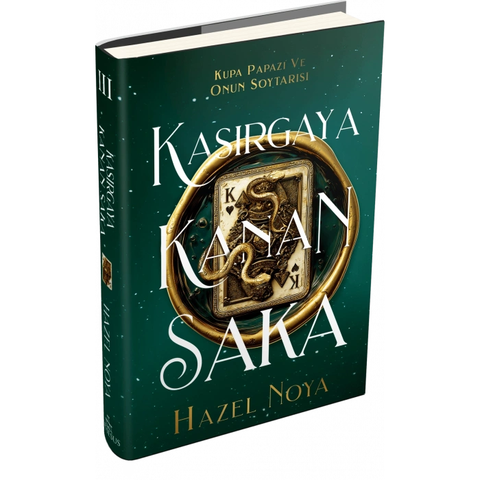 Kasırgaya Kanan Saka 3 - Ciltli