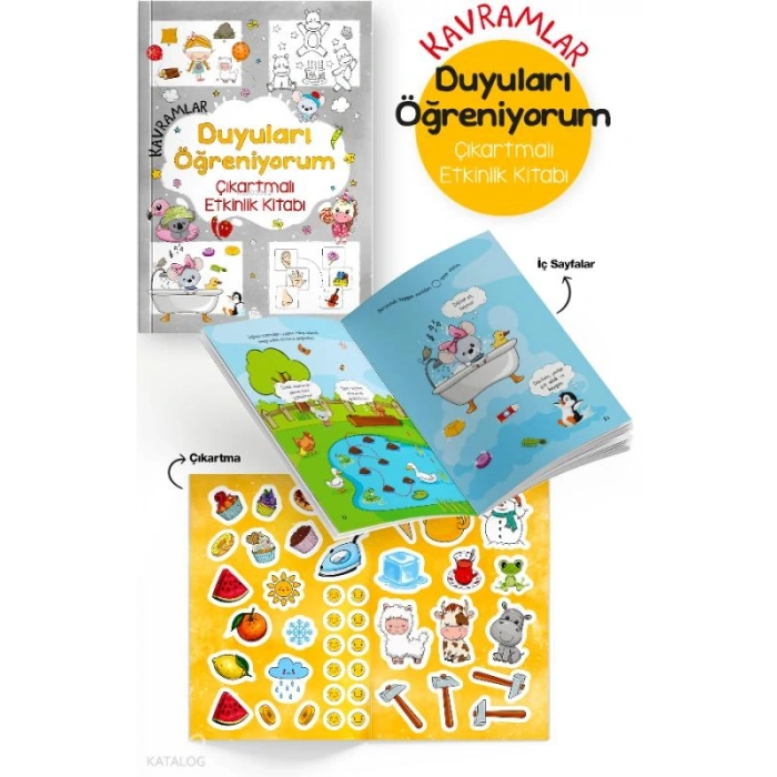 Kavramlar - Duyuları Öğreniyorum