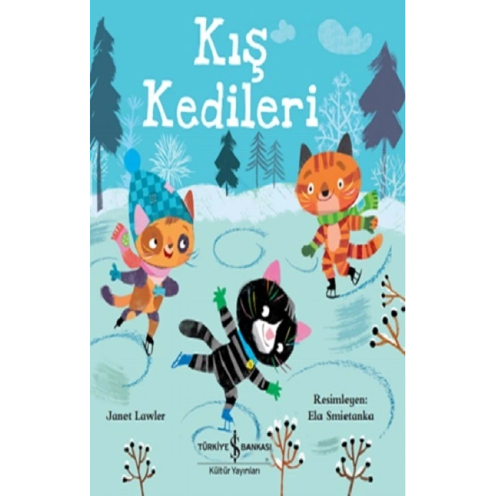 Kış Kedileri