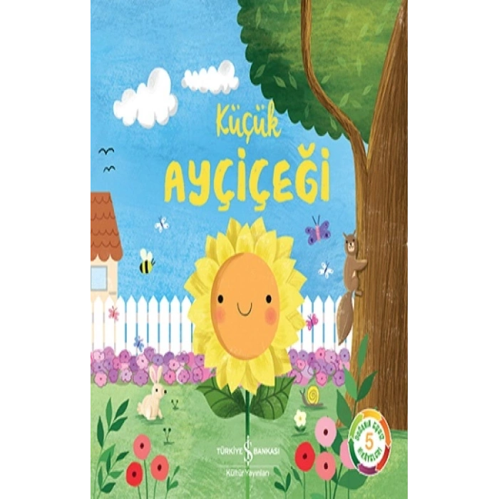 Küçük Ayçiçeği