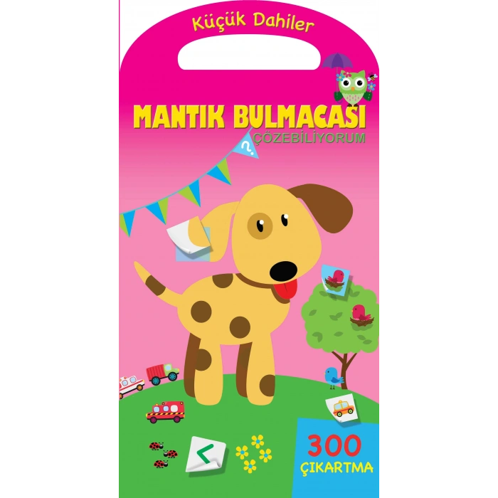 Küçük Dahiler - Mantık Bulmacaları Çözebiliyorum