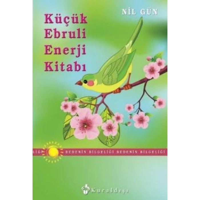 Küçük Ebruli Enerji Kitabı