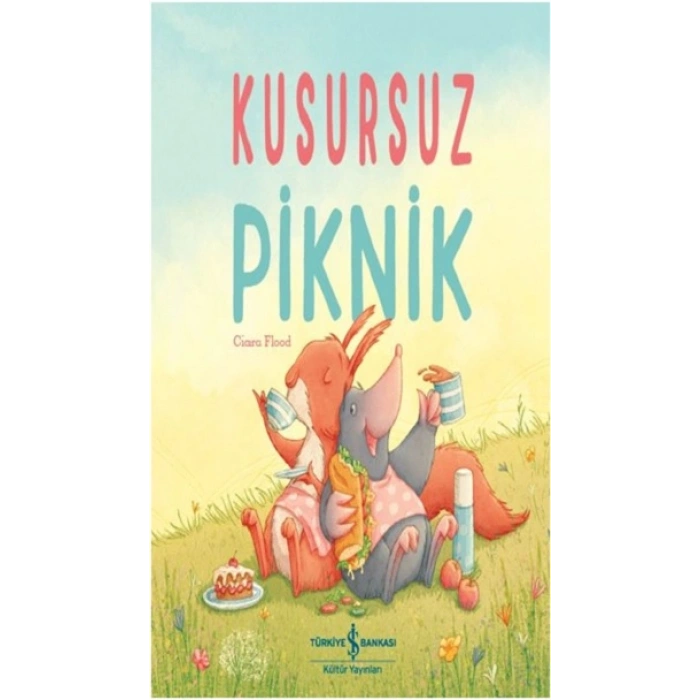 Kusursuz Piknik