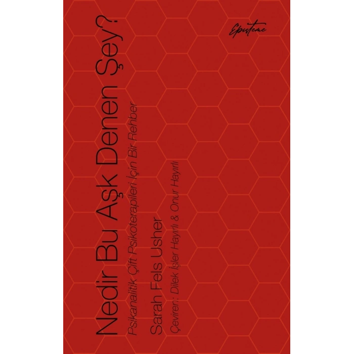 Nedir Bu Aşk Denen Şey?