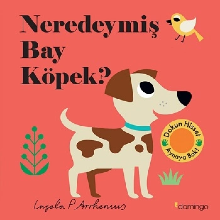 Neredeymiş Bay Köpek? (ciltli)