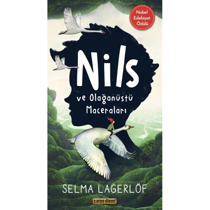 Nils Ve Olağanüstü Maceraları