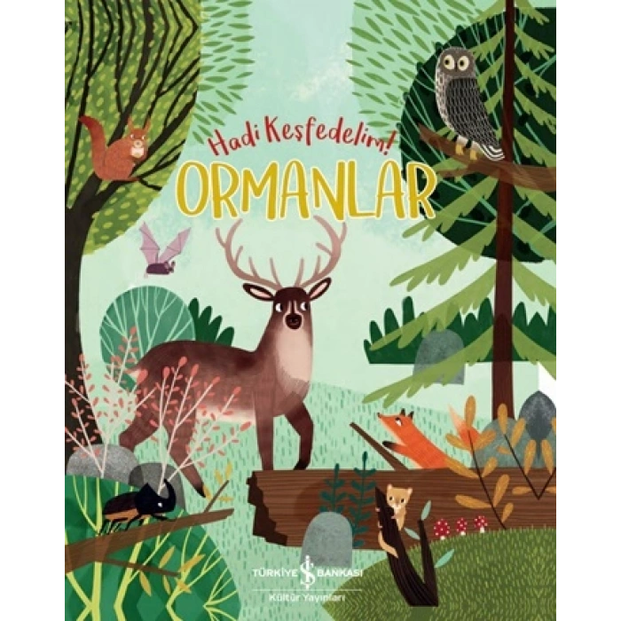 Ormanlar-hadi Keşfedelim!