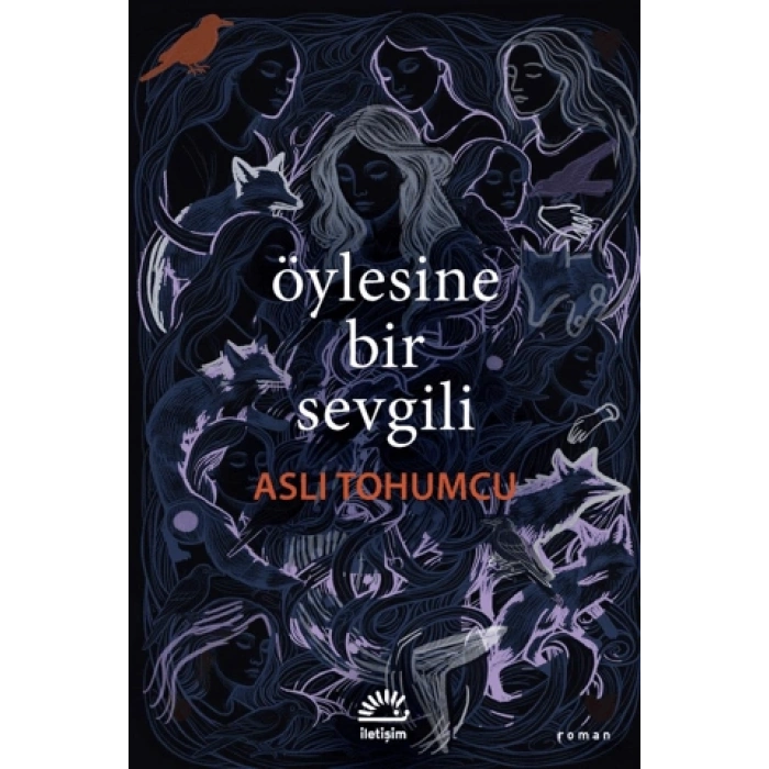 Öylesine Bir Sevgili