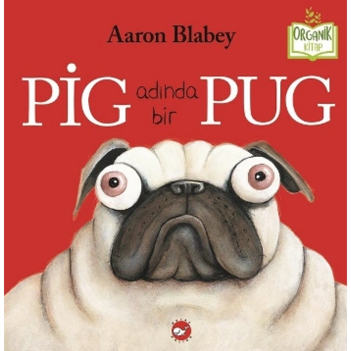 Pig Adında Bir Pug