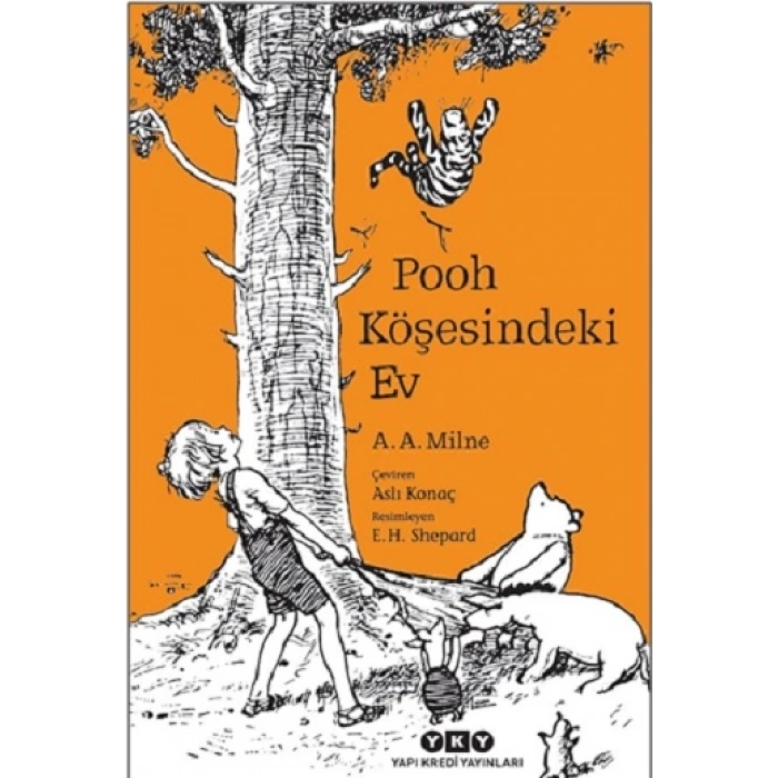 Pooh Köşesindeki Ev