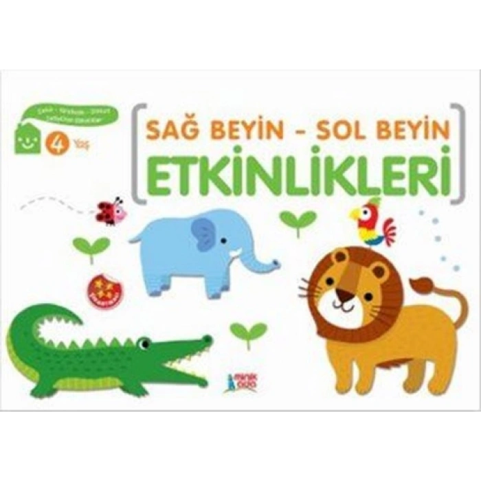 Sağ Beyin-sol Beyin Etkinlikleri 4