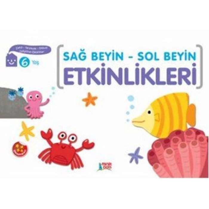 Sağ Beyin-sol Beyin Etkinlikleri 6