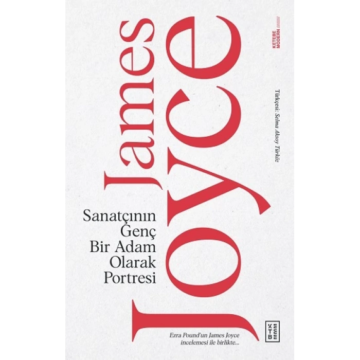 Sanatçının Genç Bir Adam Olarak Portresi