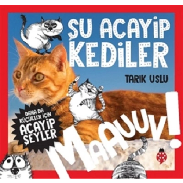 Şu Acayip Kediler - Maauuv!
