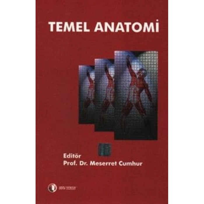 Temel Anatomi
