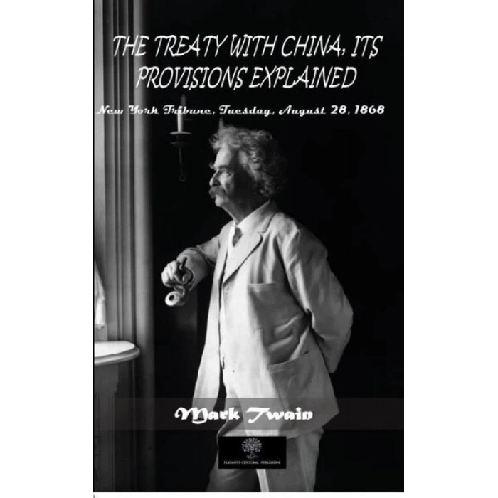 The Treaty With China its Provisions Explained