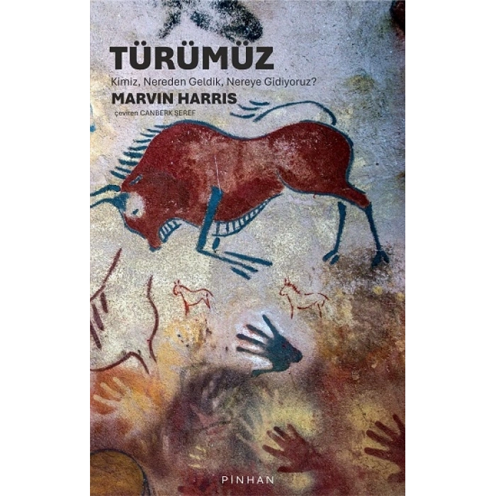 Türümüz