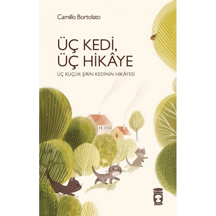 Üç Kedi, Üç Hikaye