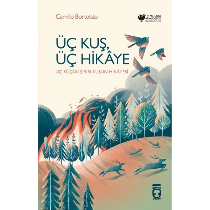 Üç Kuş, Üç Hikaye