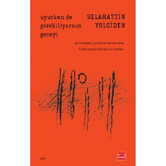 Uyurken De Görebiliyorsun Geceyi