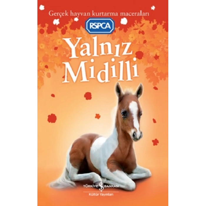 Yalnız Midilli