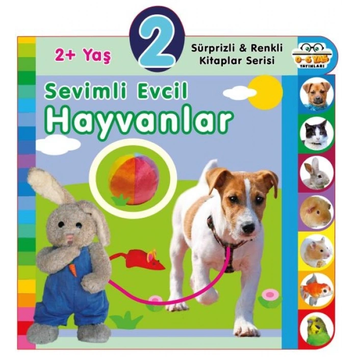 Yaş Sevimli Evcil Hayvanlar (2+yaş)