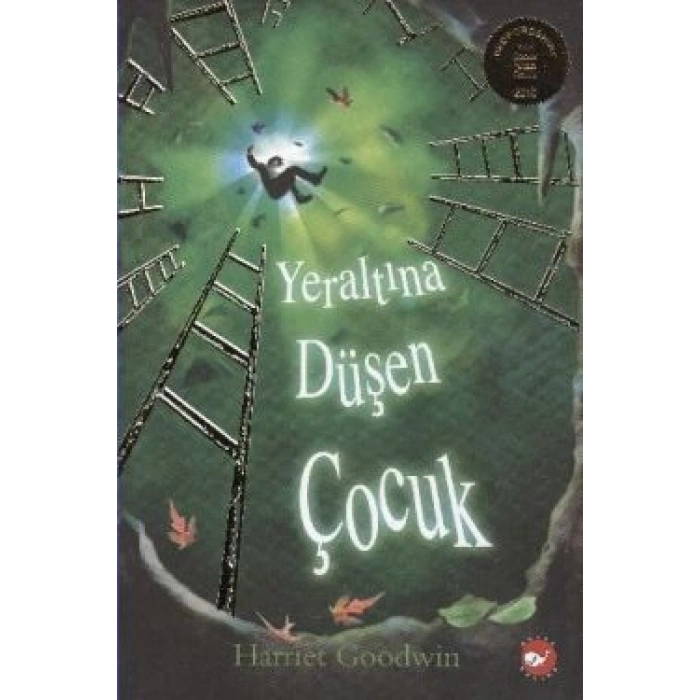 Yeraltına Düşen Çocuk