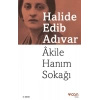 Akile Hanım Sokağı