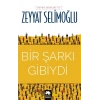 Bir Şarkı Gibiydi