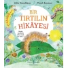 Bir Tırtılın Hikayesi