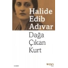 Dağa Çıkan Kurt