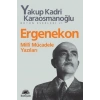Ergenekon: Milli Mücadele Yazıları