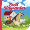 Evcil Hayvanlar - Avuç İçi Kitaplarım Dizisi