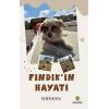 Fındıkın Hayatı