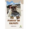 Fındıkın Hayatı