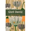 Gizli Deniz