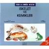 İskelet Ve Kemikler