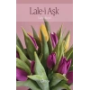 Lale-i Aşk