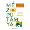 Mezopotamya