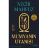 Mumyanın Uyanışı: Antik Mısır Hikayeleri