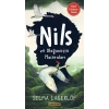 Nils Ve Olağanüstü Maceraları